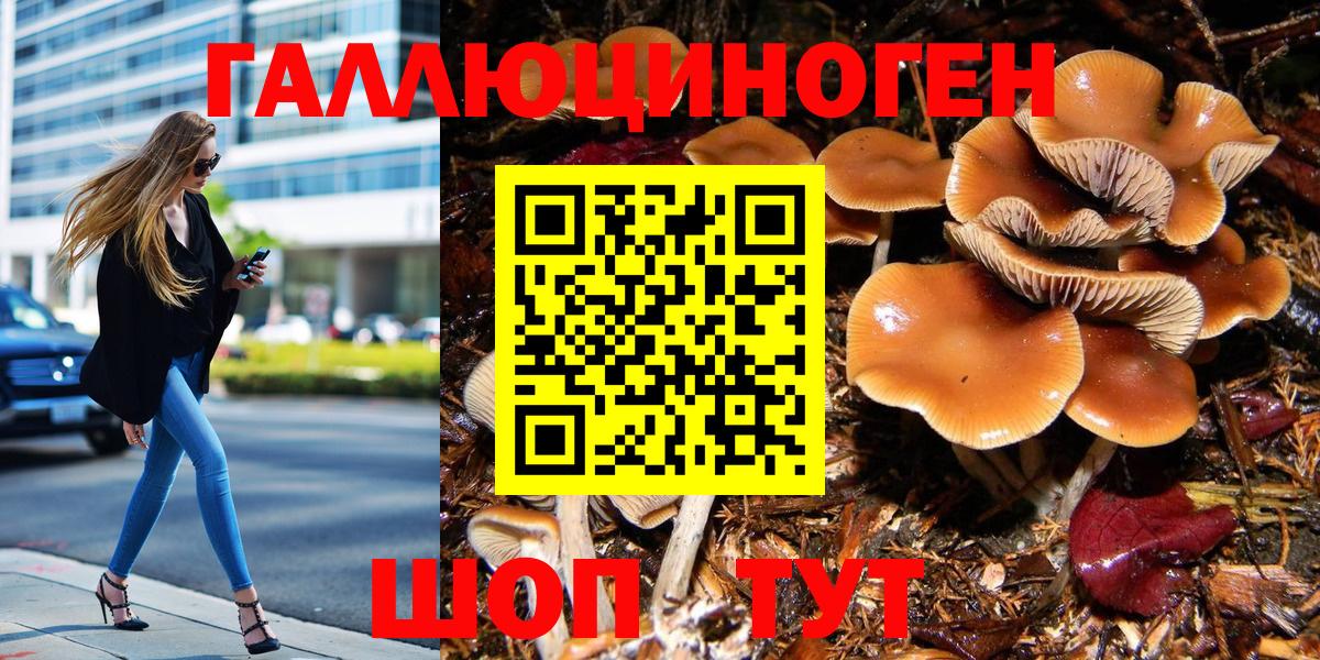 Галлюциногенные грибы Cubensis  Вход с VPN  Черемхово  Псилоцибиновые грибы MAGIC MUSHROOMS 