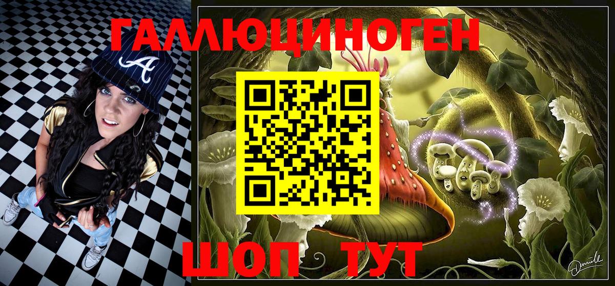 Псилоцибиновые грибы Psilocybe Черемхово